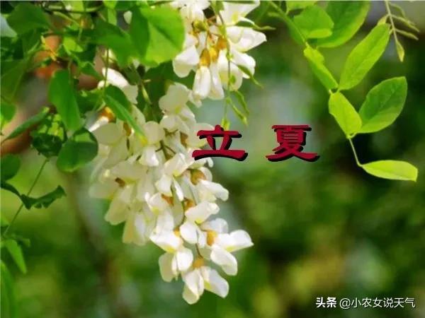 天气预报，新一轮冷空气来袭，局部猛降14℃！倒春寒？农谚咋说