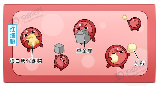多功能过滤机加盟好不好