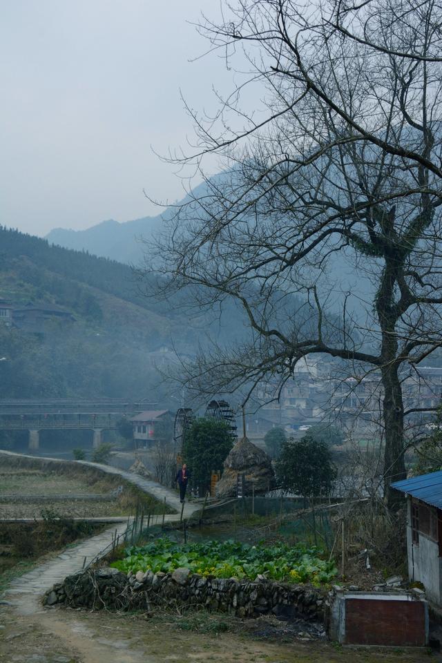 到桂北之北，至苗山融水，看苗女風情，品神秘的鴨變文化