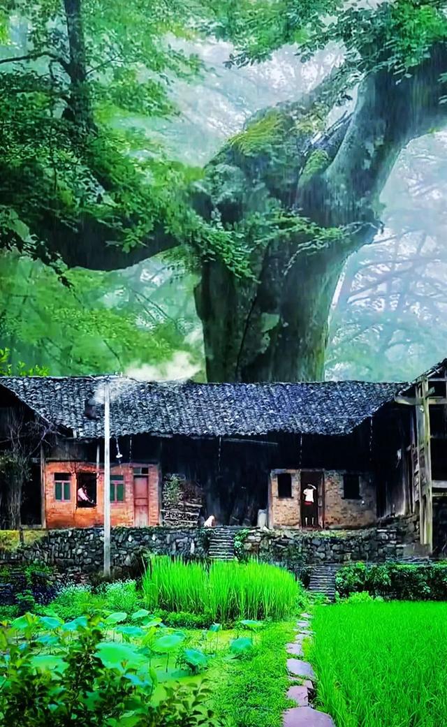 故乡美，惹人醉