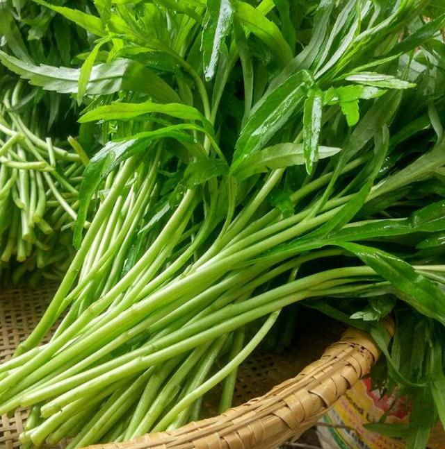 春季綠意盎，餐桌也要加點色