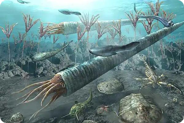 所谓的第六次生物大灭绝，人类能幸免于难吗？