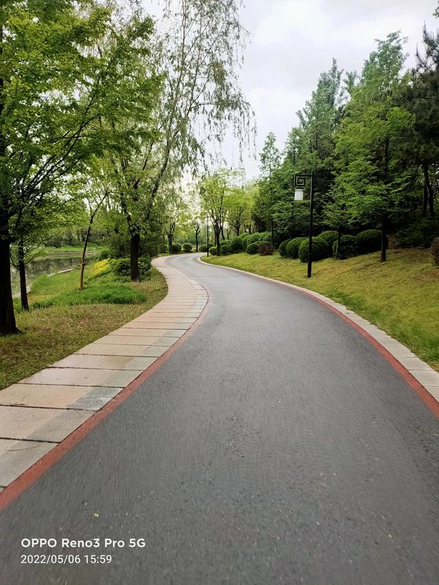 雨后戴河公园