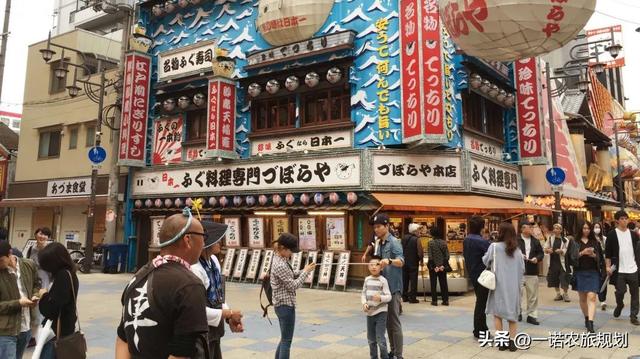 文旅旅游区规划（案例干货从全域旅游出发）(15)