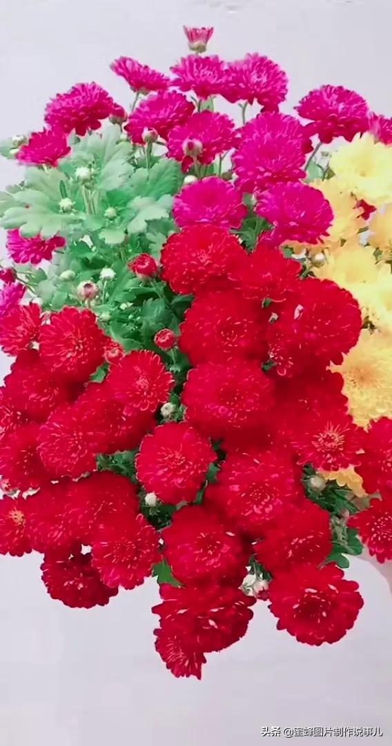 在春天等你，思念随风化作雨