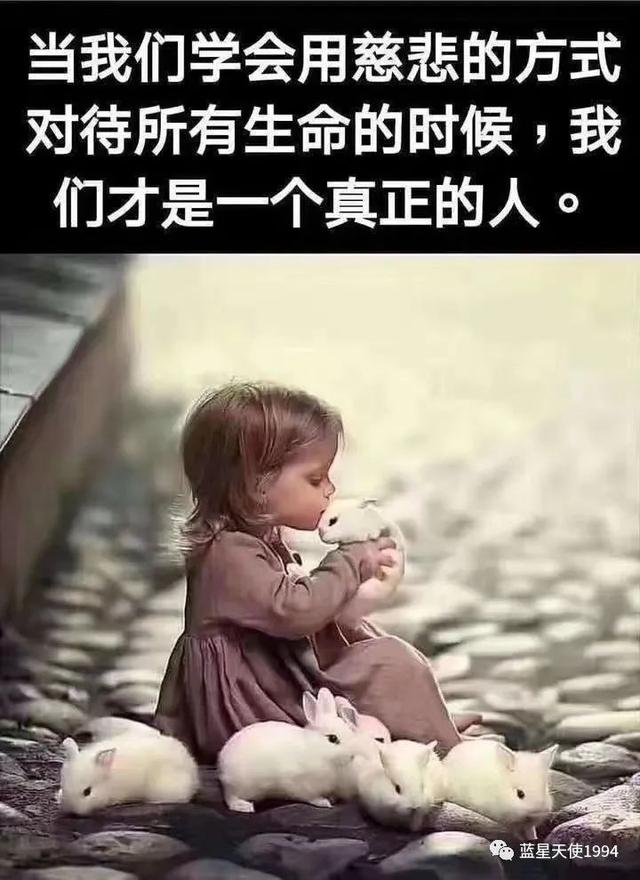 闲谈“逻辑”