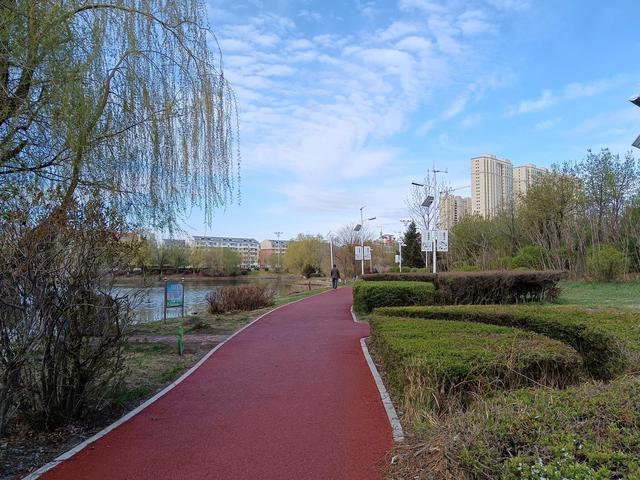 五一出不了城，不如来镜湖公园走一走吧