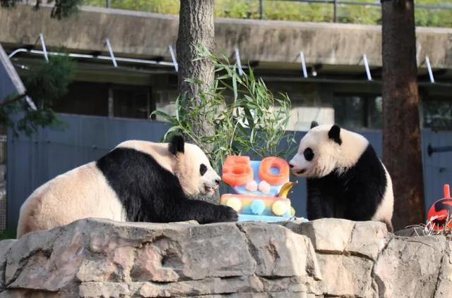 时间表出炉！今年我国将实施6次飞行任务【看世界·新闻早知道】