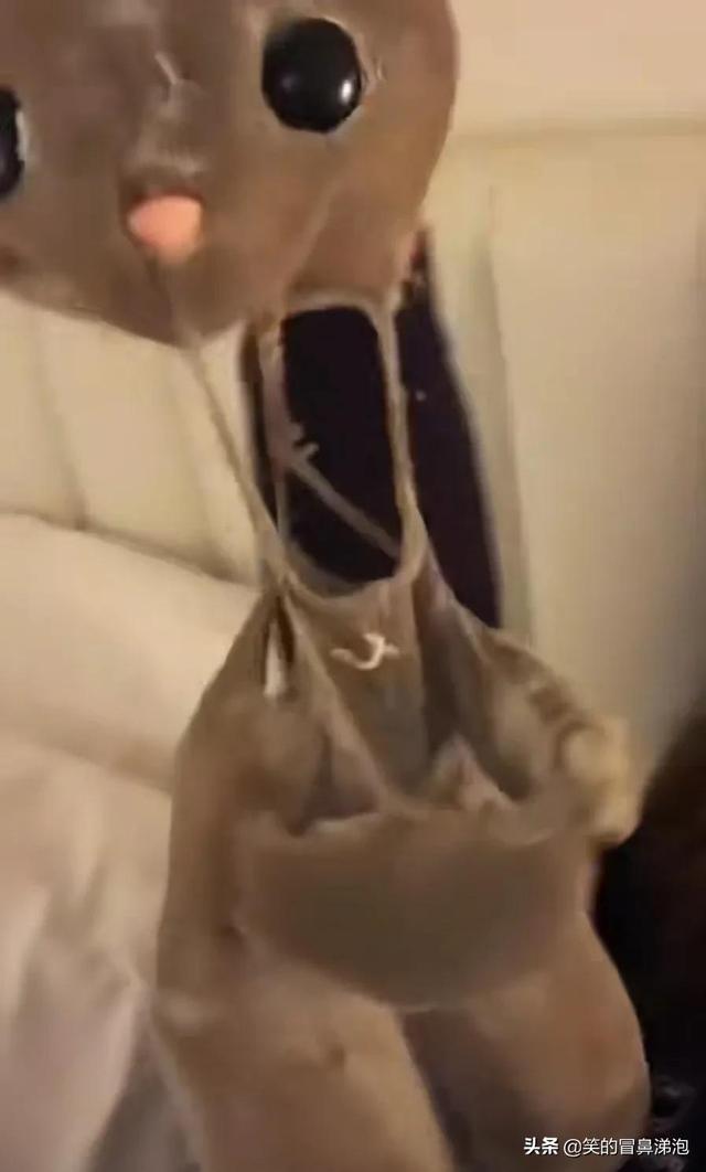 那些陪你长大的小毯子还在吗？