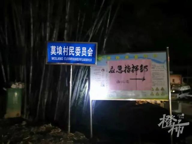 搜救现场最新画面：飞机残骸抛洒面积巨大，竹林被砸得面目全非