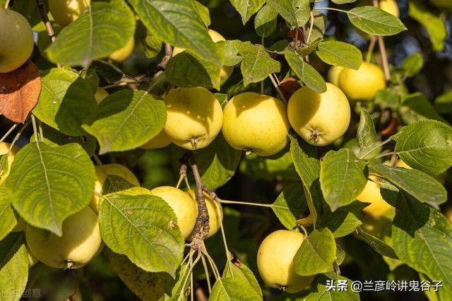 开春养生好时节，推荐7个不用花钱的养生方法，一年远离疾病