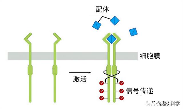 俄要将“冠状病毒蛋白质”送到国际空间站！这么做有何目的？