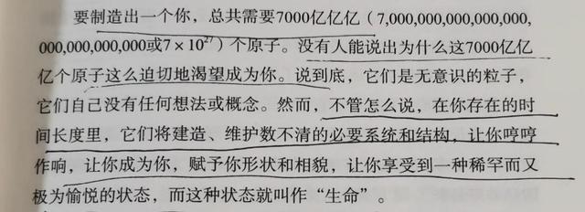 让孩子学会敬畏生命，心怀歉疚，相当于给ta的人生上一道保险
