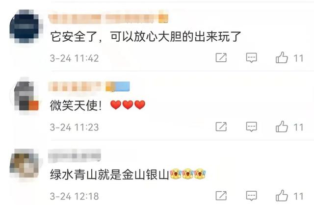 冲上热搜！“十年禁渔”不放弃，终于等到“水上大熊猫”