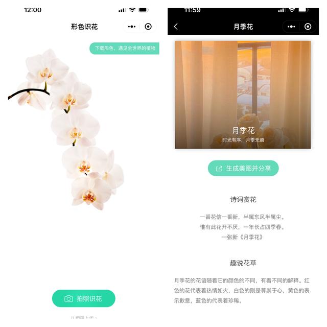 10个宝藏级小程序，效率/生活/免费且实用！帮你省下手机内存