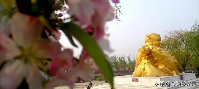 花开杨柳青