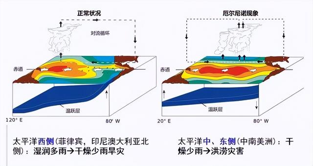 地球曾经历五次生物大灭绝，现在人类科技发达，能避免第六次吗？