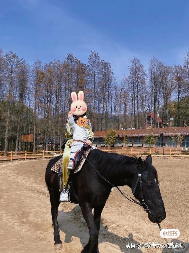 母亲节福利 | 特惠门票闭眼入！武野直播间里等你哟！