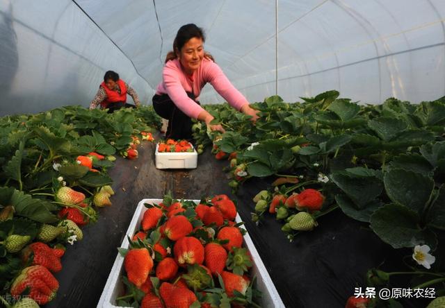 确权颁证固化了土地权利、新增人口无地可承包了吗？
