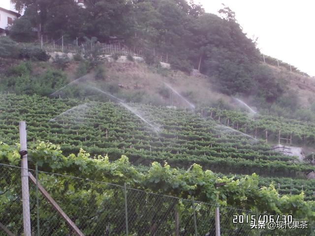 2018年意大利农业机械展