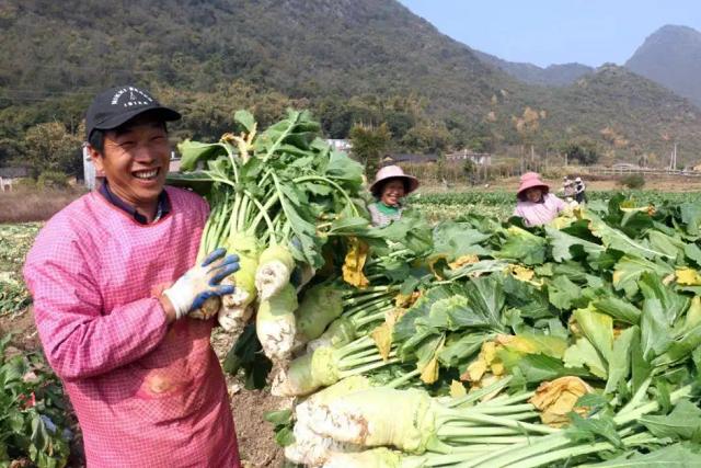 因一包酸菜，导致康师傅、统一流失数亿市值，严钦武到底什么来头