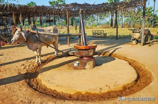 最有效的养生都是免费的！9条“无价”养生法别错过