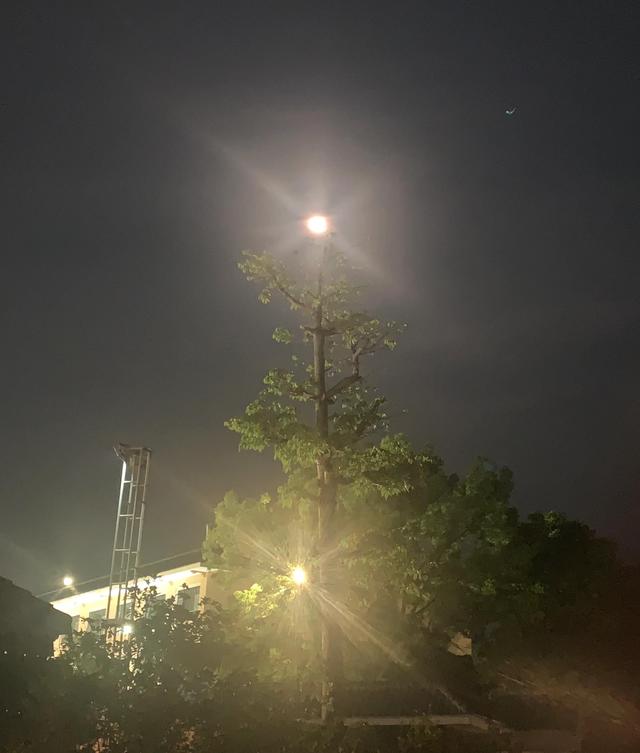 是夜，无心睡眠