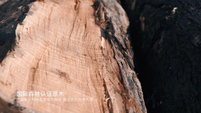 车内饰板有什么材质（车带木板才高级）(4)