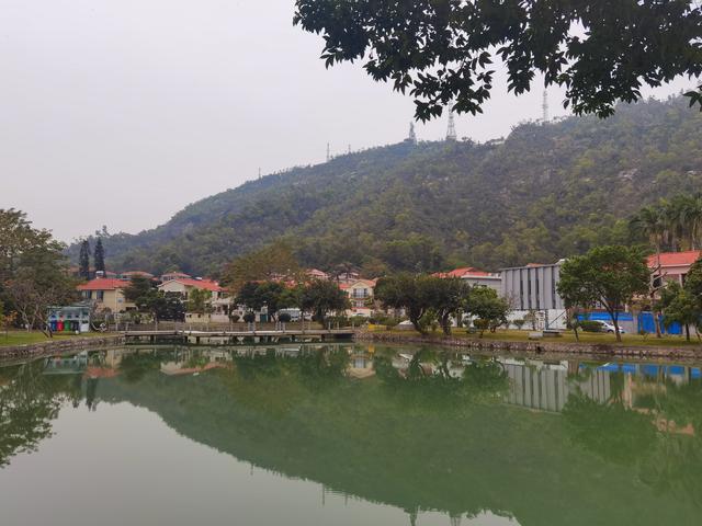 海南洗砂机生产厂家哪家强沃力机械大品牌