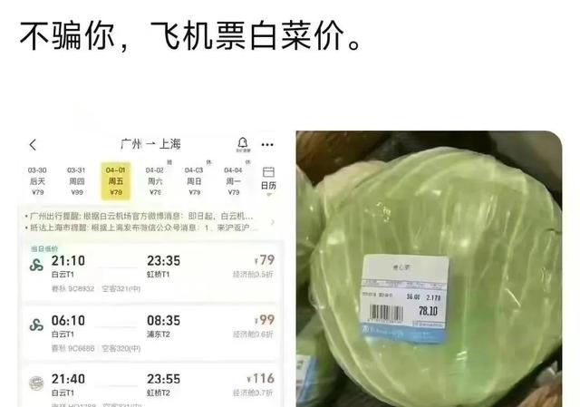 离开上海两年半，此刻我也在揪心着我的菜……