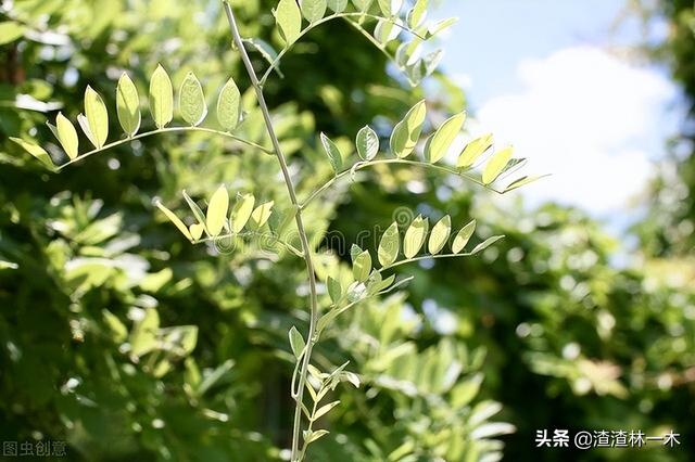 人造太阳是什么？有什么用处？
