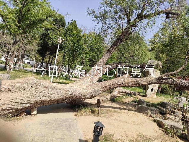 幸福来自不攀比