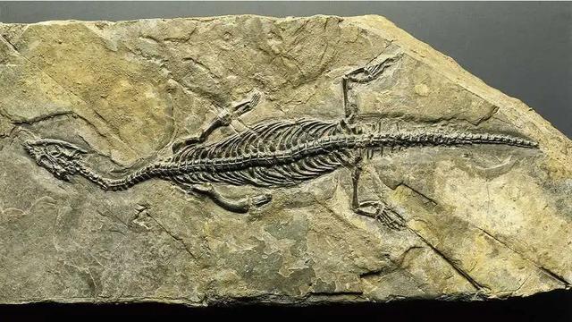 恐龙灭亡时发生了什么？墨西哥深海岩石样本揭示地球上的一场毁灭