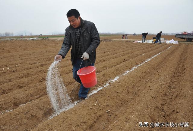 我国耕地土壤“南酸北碱”：酸性土壤和碱性土壤怎样施肥效果好？13