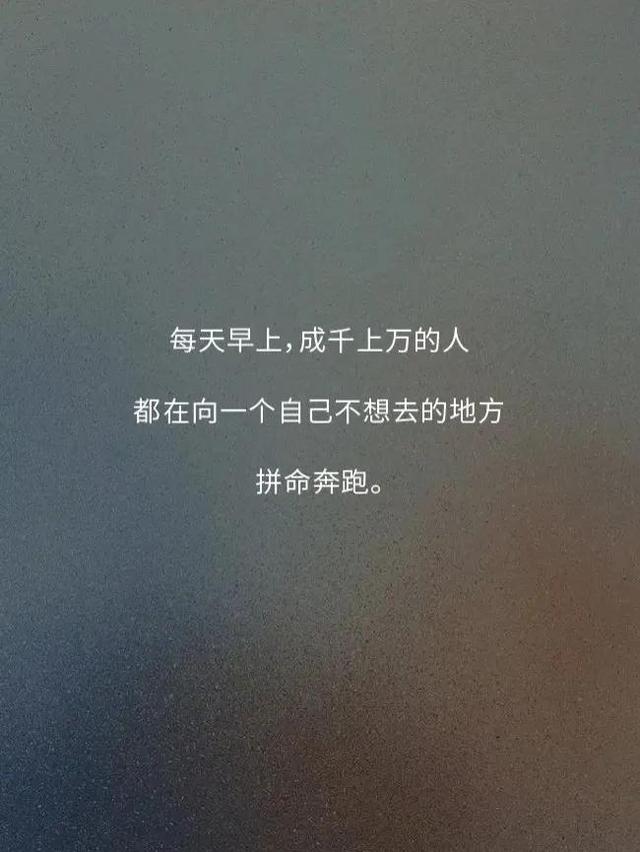 一句人间真实