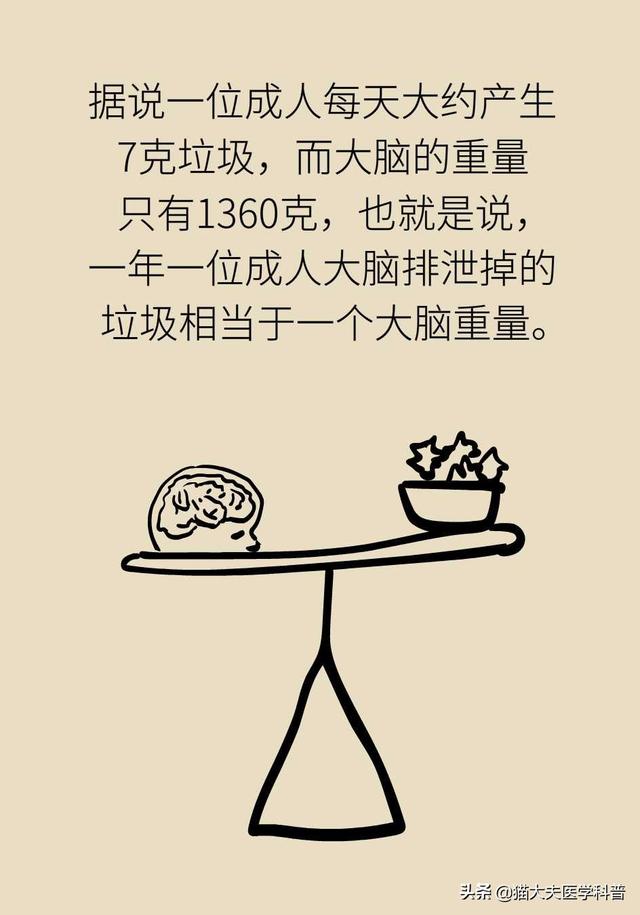 睡眠日丨睡不好的后果远比你想得更严重，你可能会变傻