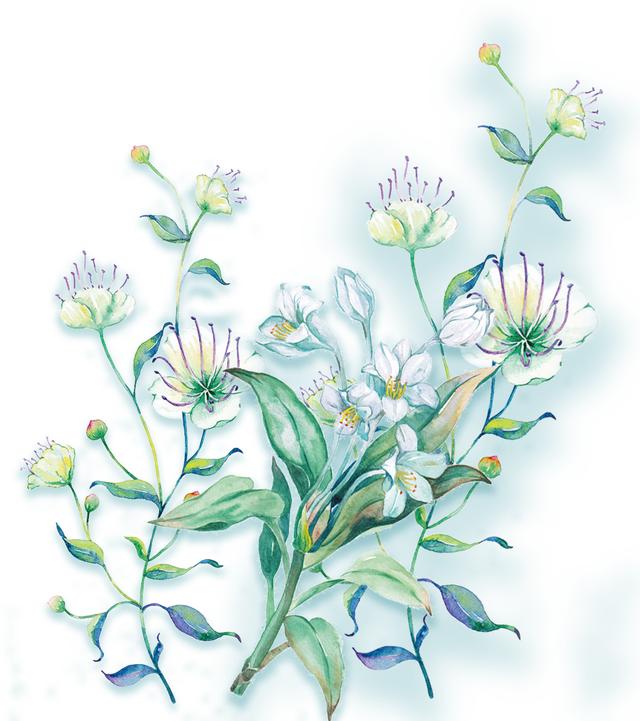 花卉图案手绘简单（漂亮的花卉手绘图案）(1)