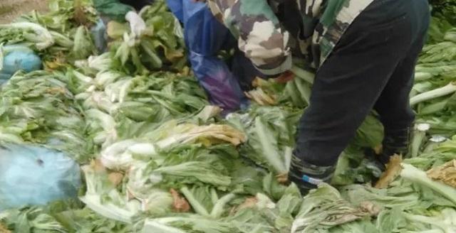 因一包酸菜，导致康师傅、统一流失数亿市值，严钦武到底什么来头