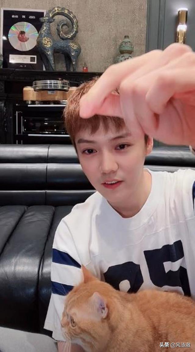 今年跨年鹿晗去哪了（鹿晗2022年跨年）