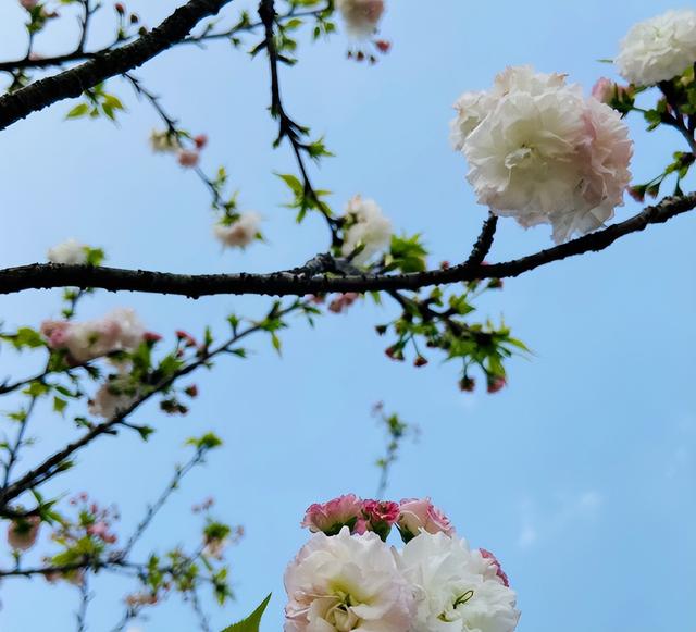 励志人生：只要功夫深，铁杵磨成针