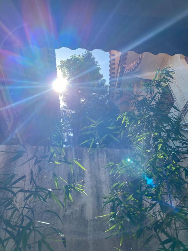 要想修心，就从爱自己开始。以爱自己的心爱世界「愛心」这就够了