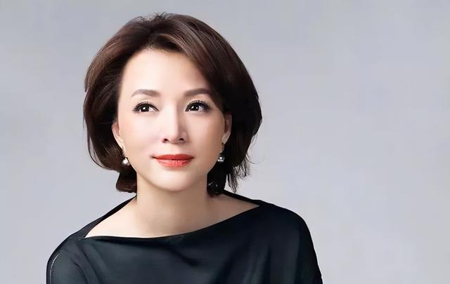 董卿的老公密春雷失联3个月：亏损100亿导致破产，替夫还债复出？