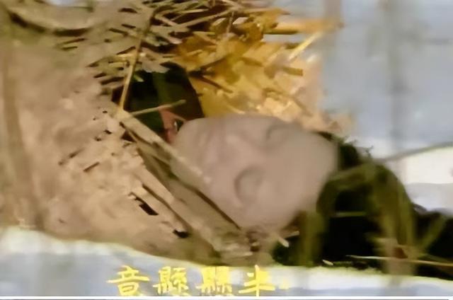 87版《红楼梦》对结局的哪些“再创作”，堪称神来之笔？