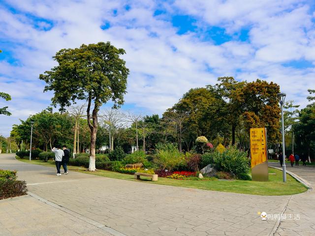 2019厦门机械展在几号