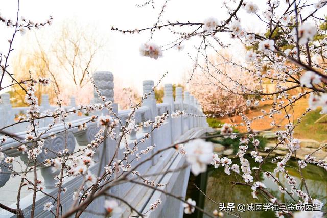 春季养肝正当时？看看逍遥丸，越鞠丸，舒肝丸该如何选择？