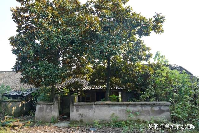 合肥水泥机械展