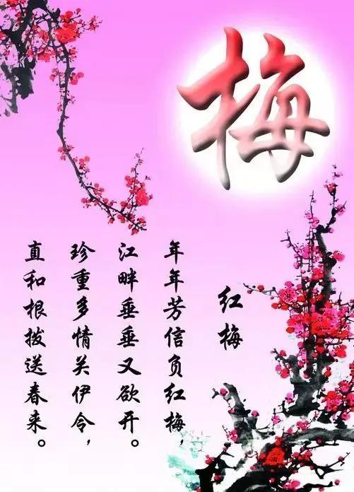今日立春 春暖花开喜上眉梢图