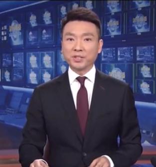 康辉：娶师妹刘雅洁，丁克22年让父母抱憾离世，风光的背后是眼泪