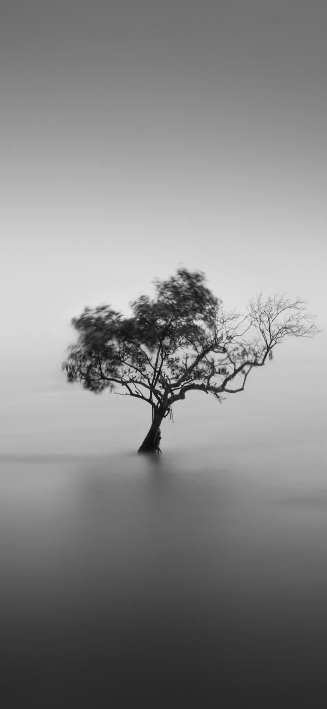 [ios点淘分身]黑色系壁纸高级冷淡风插图(12)