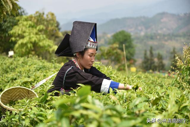 中国的恒春之都，冬天比昆明还暖和，蔬菜水果多，在这生活很滋润12